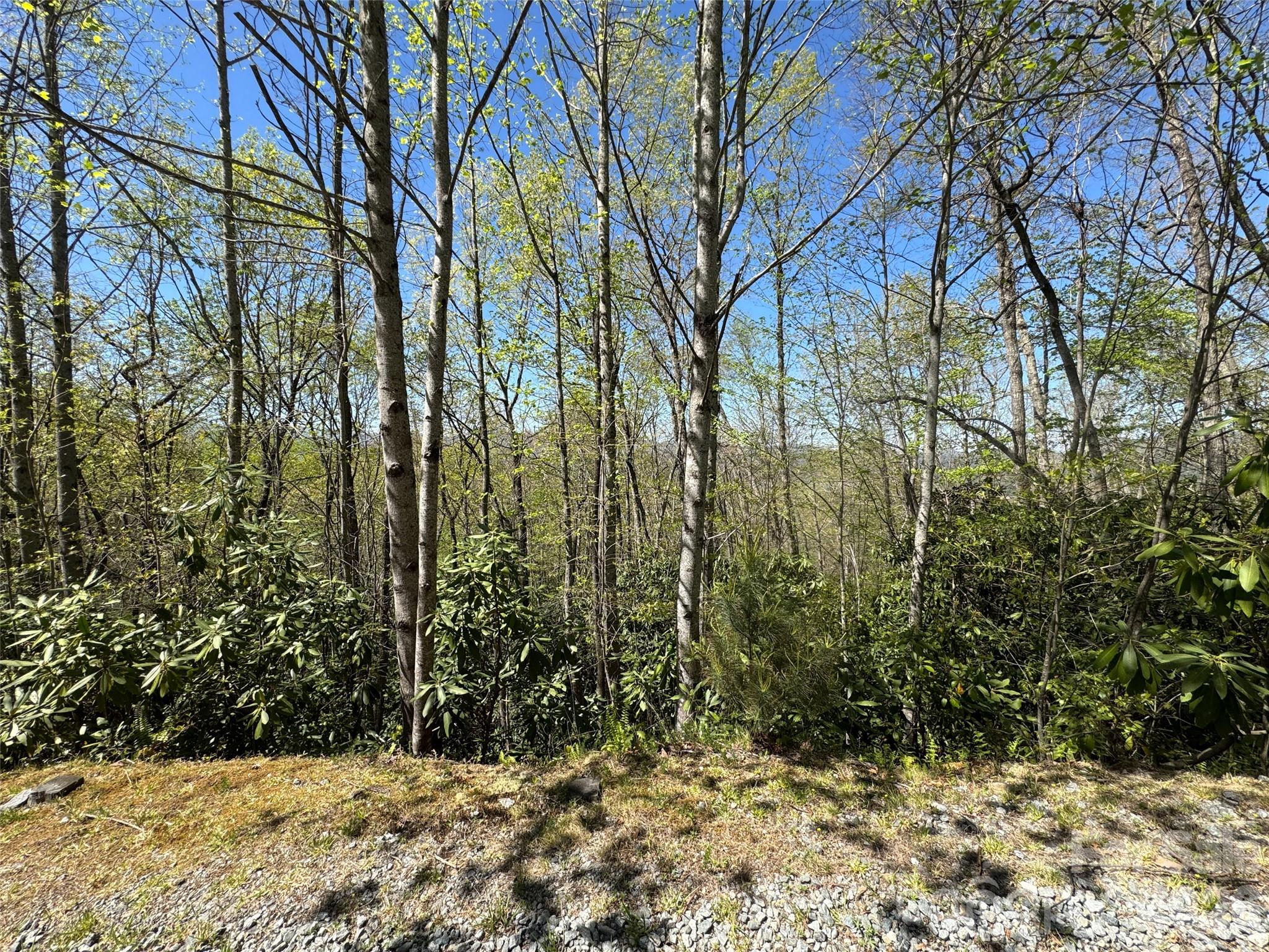 The Reserve - Land