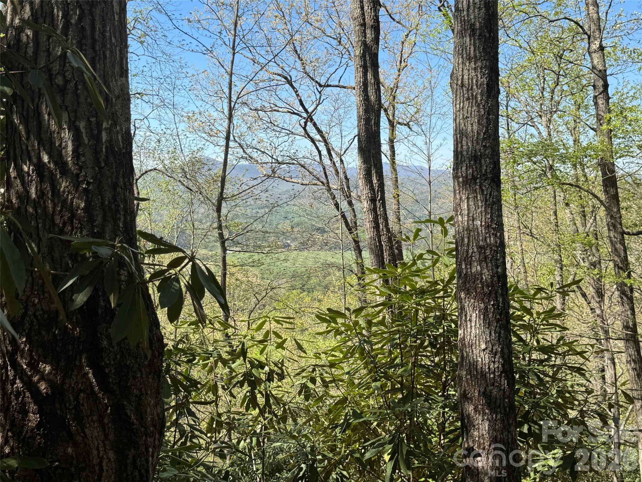 The Reserve - Land