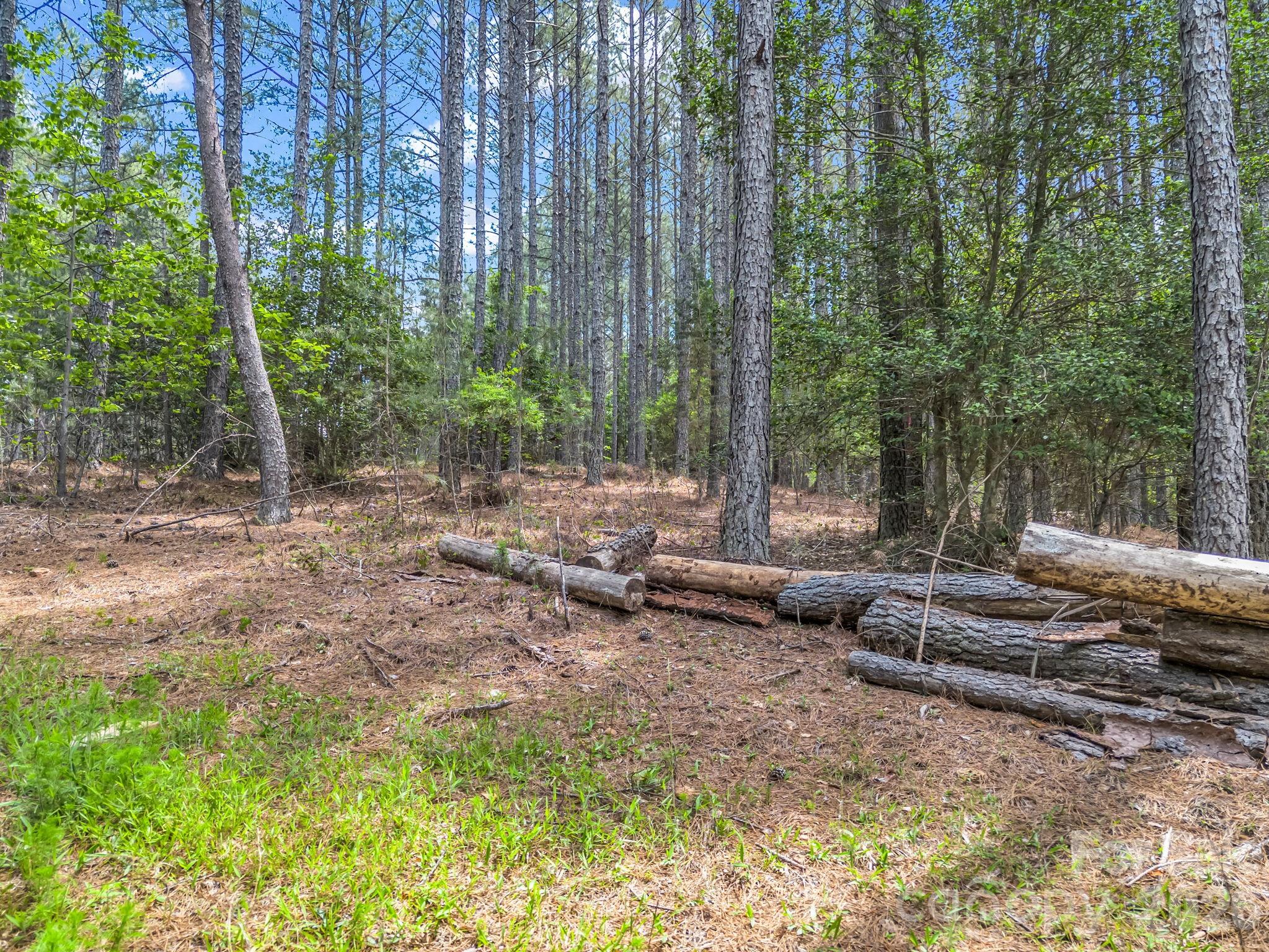 Broad River Highlands - Land