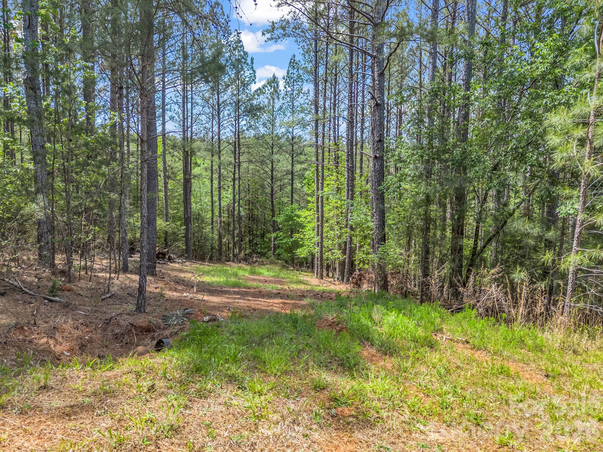 Broad River Highlands - Land