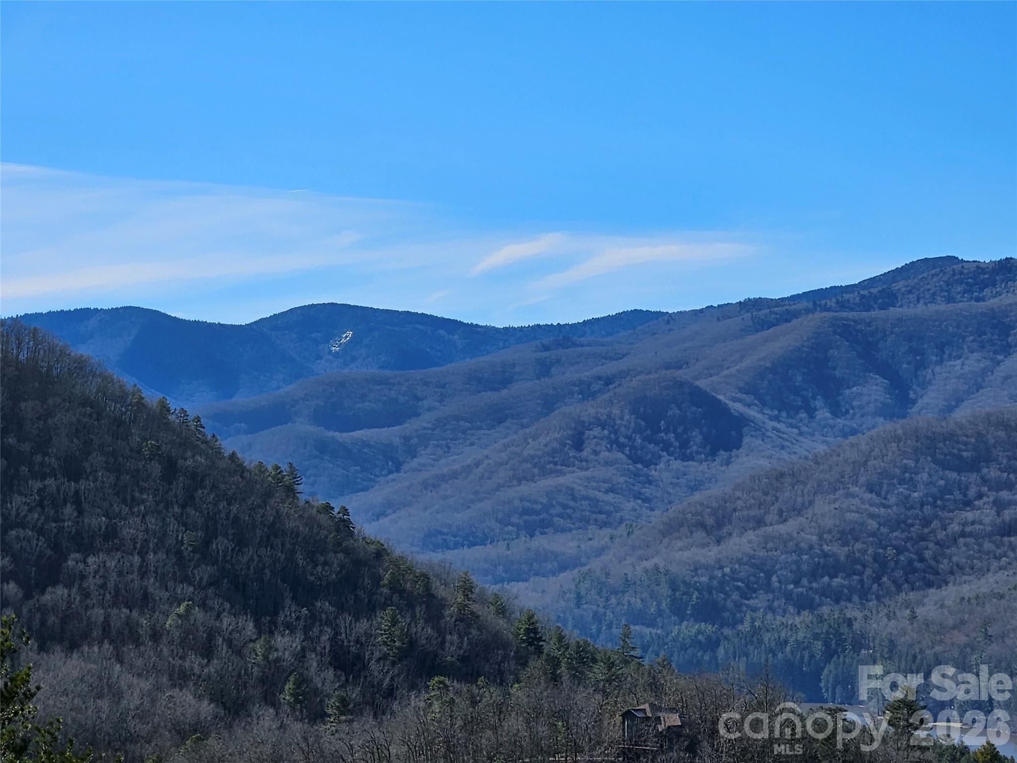 Build your dream home on this beautiful wooded lot with view of Lake Logan and mountains in the peaceful gated community of Blue Ridge Vistas. Located at end of paved cul-de-sac. 15 minutes from Waynesville, close to the Blue Ridge Parkway access, Cold Mountain and Springdale Country Club. This lot has a gorgeous view and is in an attractive neighborhood.