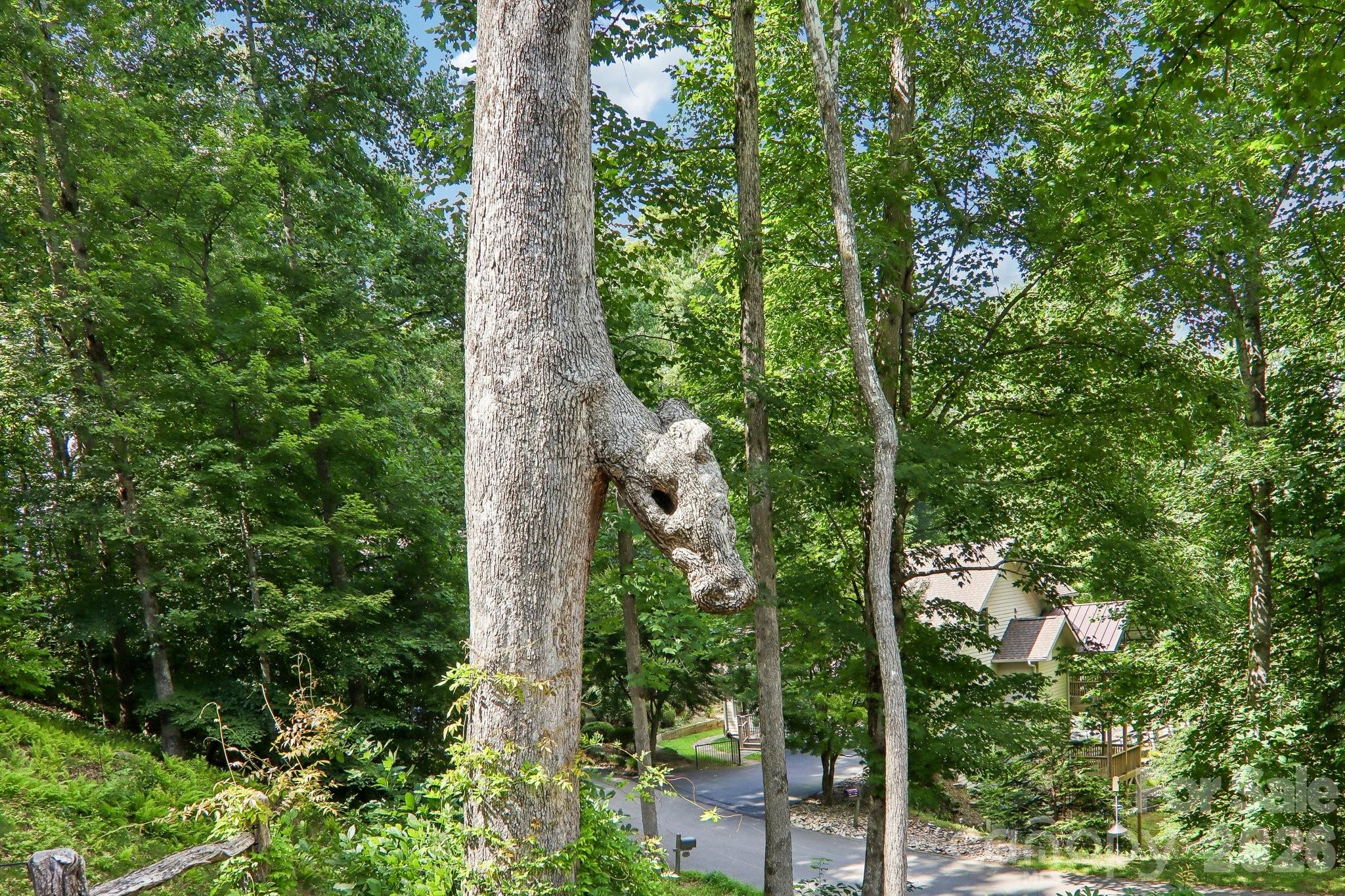 Middlemount - Residential