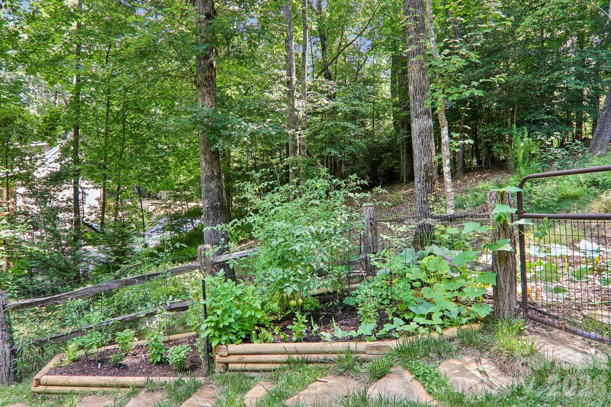 Middlemount - Residential