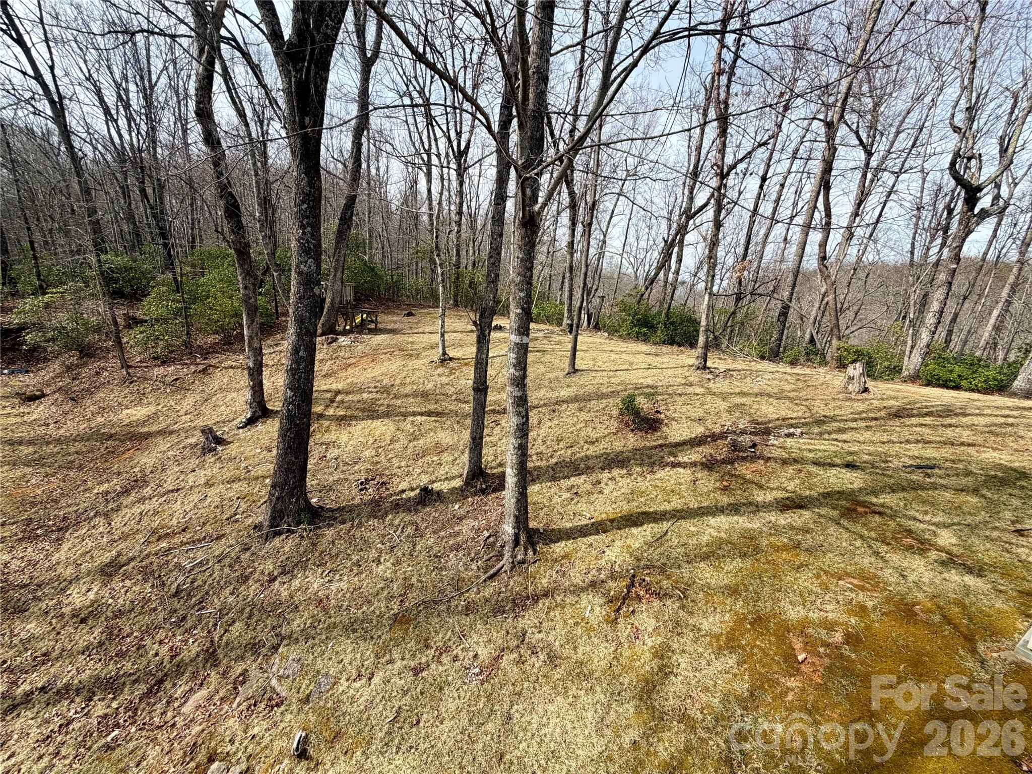 Line Runner Ridge - Residential