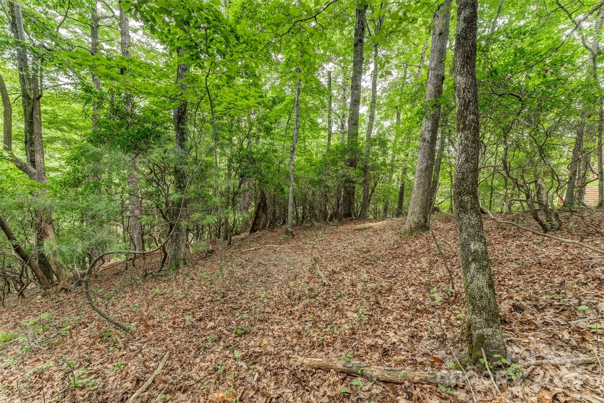 Connestee Falls - Land