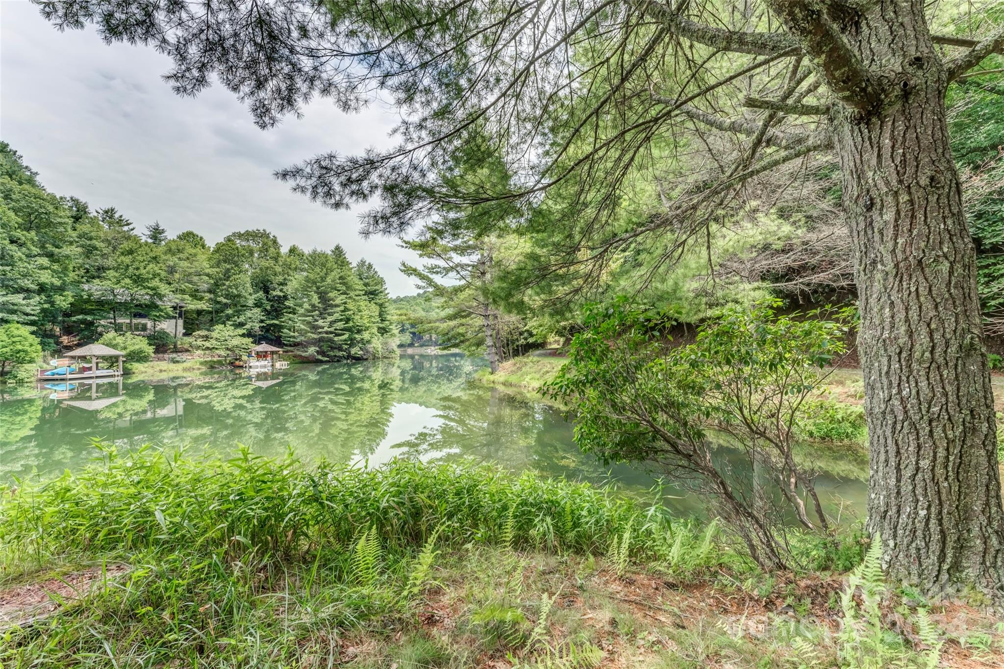 Connestee Falls - Land