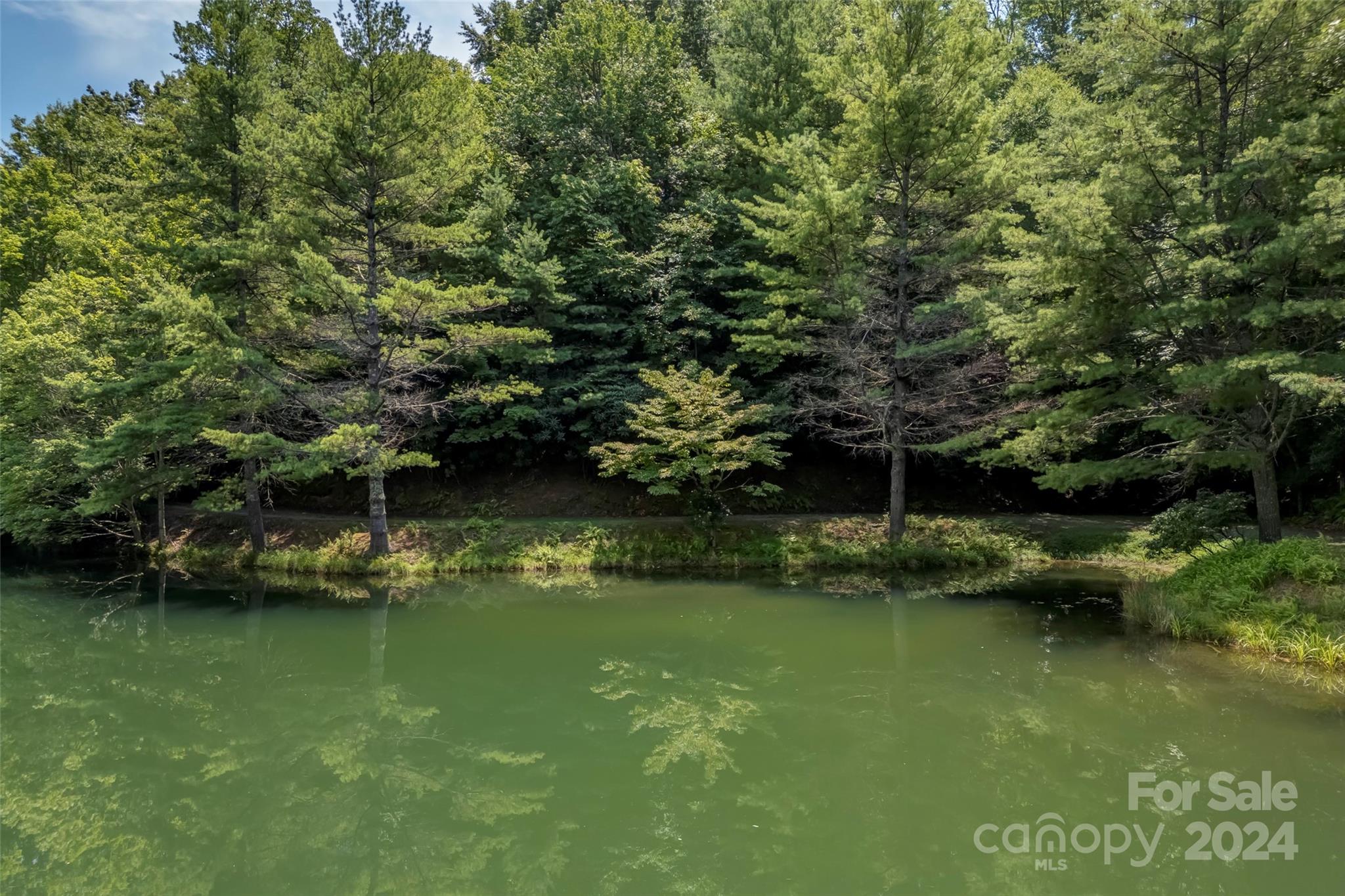 Connestee Falls - Land