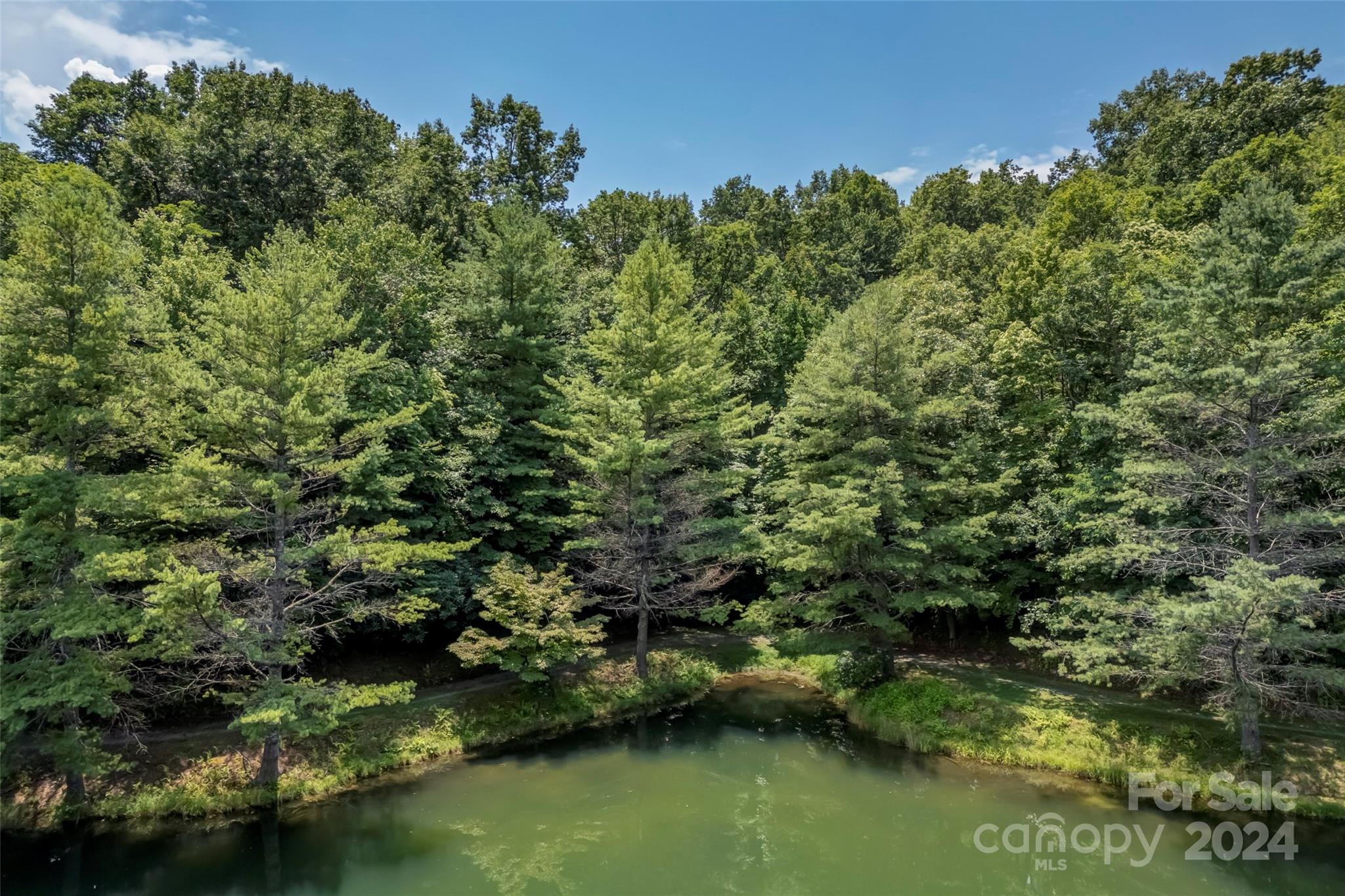 A rare opportunity to own a double lot on a Connestee Falls lake. This lot features remarkable privacy and stunning lake views at the end of a cul-de-sac. This .91-acre lot boasts an impressive 184 feet of lake frontage. The double lot provides more than twice the lakefrontage of typical lots, ensuring both space and exclusivity. This property also borders Connestee Falls POA land, so there are no neighbors on the east side of the lot providing even more privacy and usable frontage. The property offers multiple building sites, either higher up near the cul-de-sac or lower, closer to the lake. Enjoy nearly 3,000 feet of elevation, wonderful lake views, easy access to build a dock, and excellent fishing spots with deep water access. Enjoy access to over 25 miles of pristine hiking trails, 6 waterfalls, 4 lakes totaling over 230 acres of lakefrontage, an 18-hole designer golf course, pickle ball, tennis, pool facilities, and multiple top-notch food and beverage options.