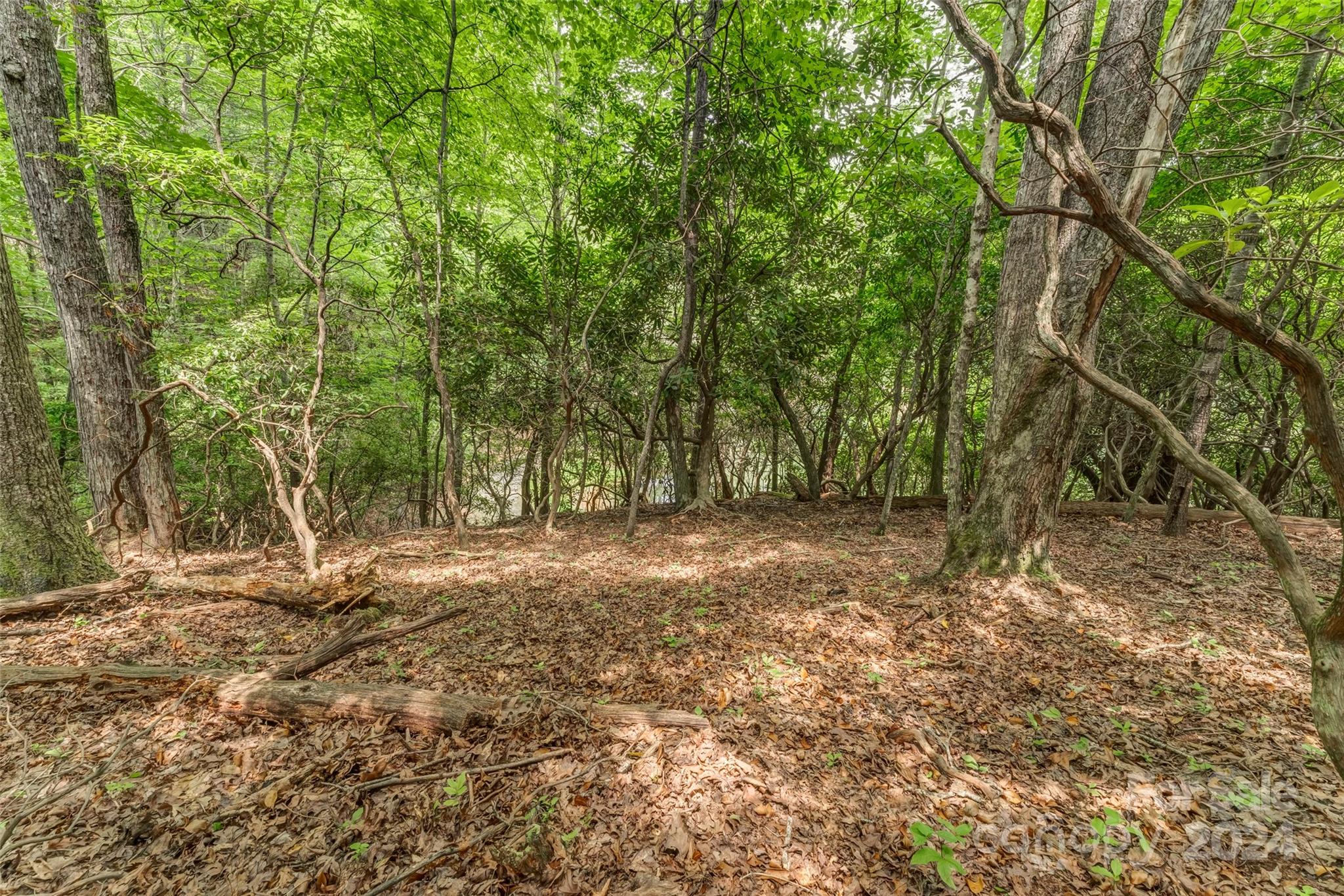 Connestee Falls - Land