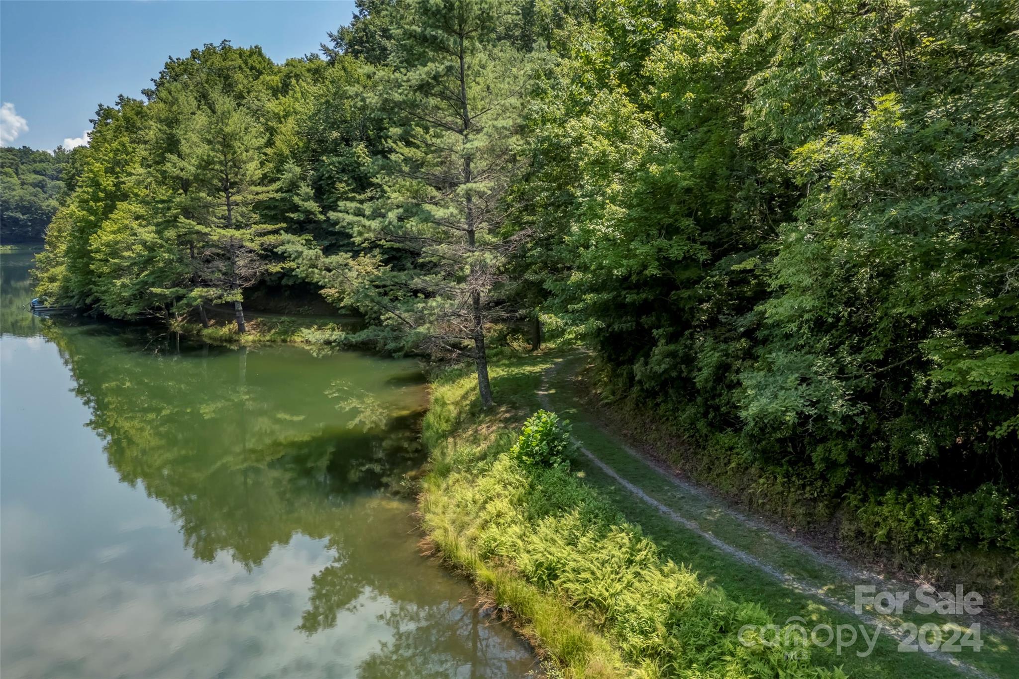 Connestee Falls - Land