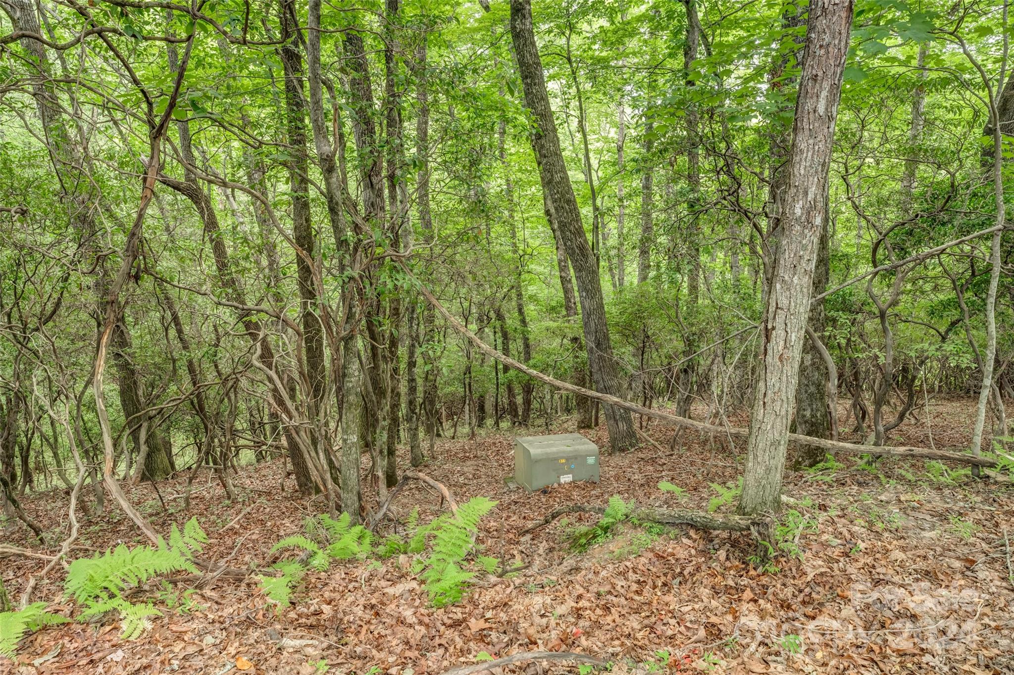 Connestee Falls - Land