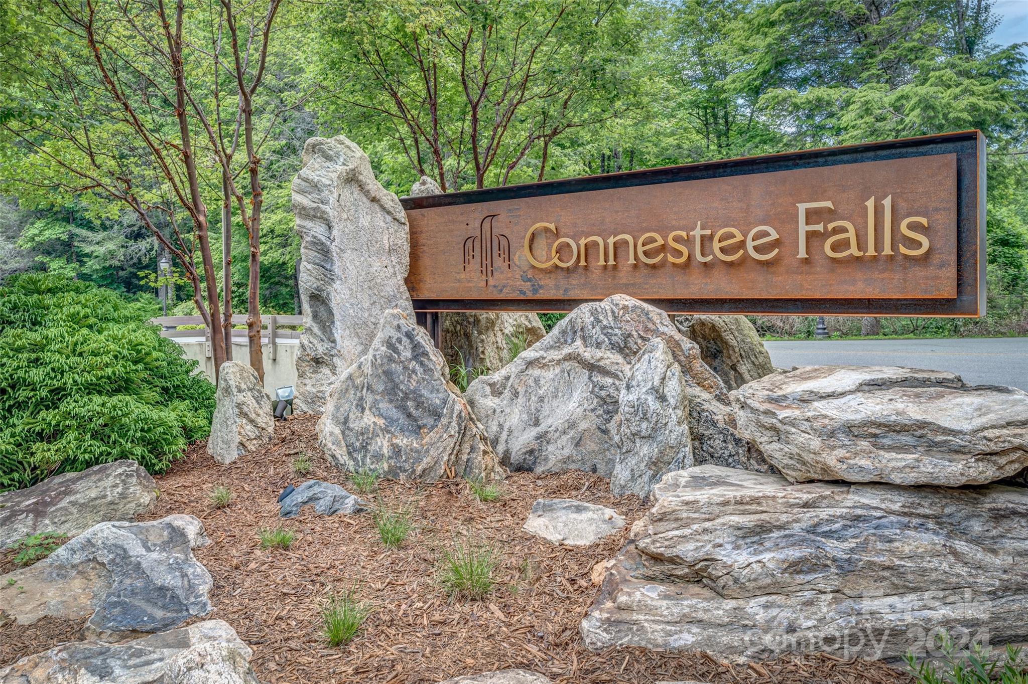 Connestee Falls - Land
