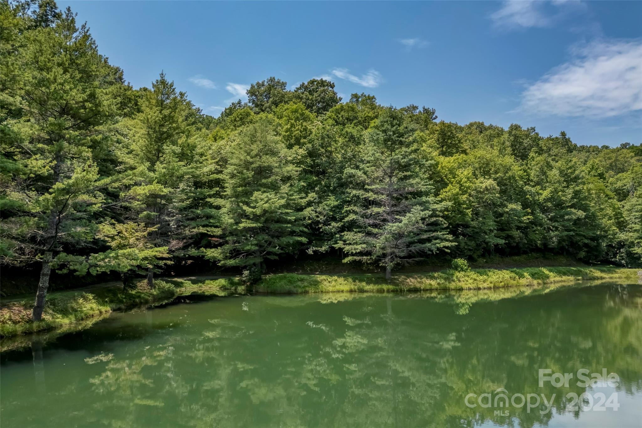 Connestee Falls - Land