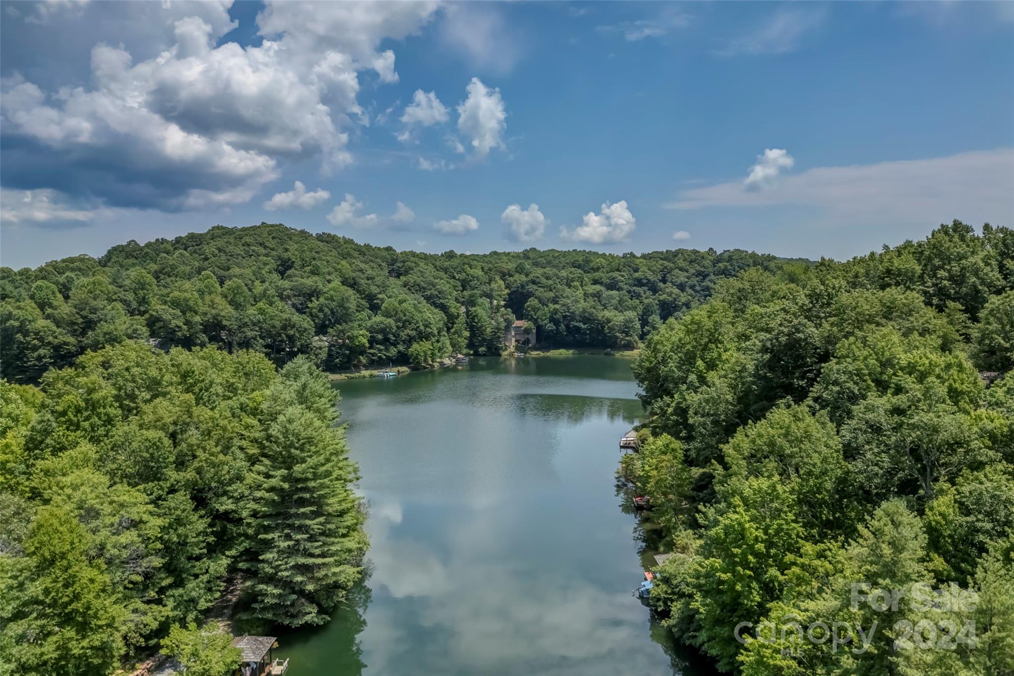 Connestee Falls - Land