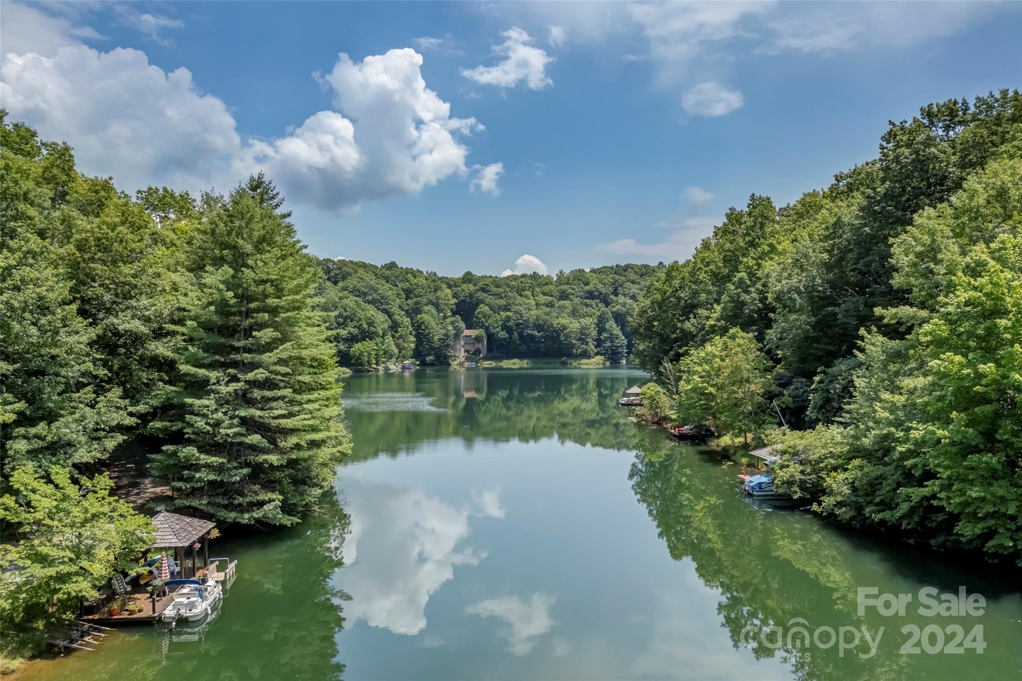 Connestee Falls - Land