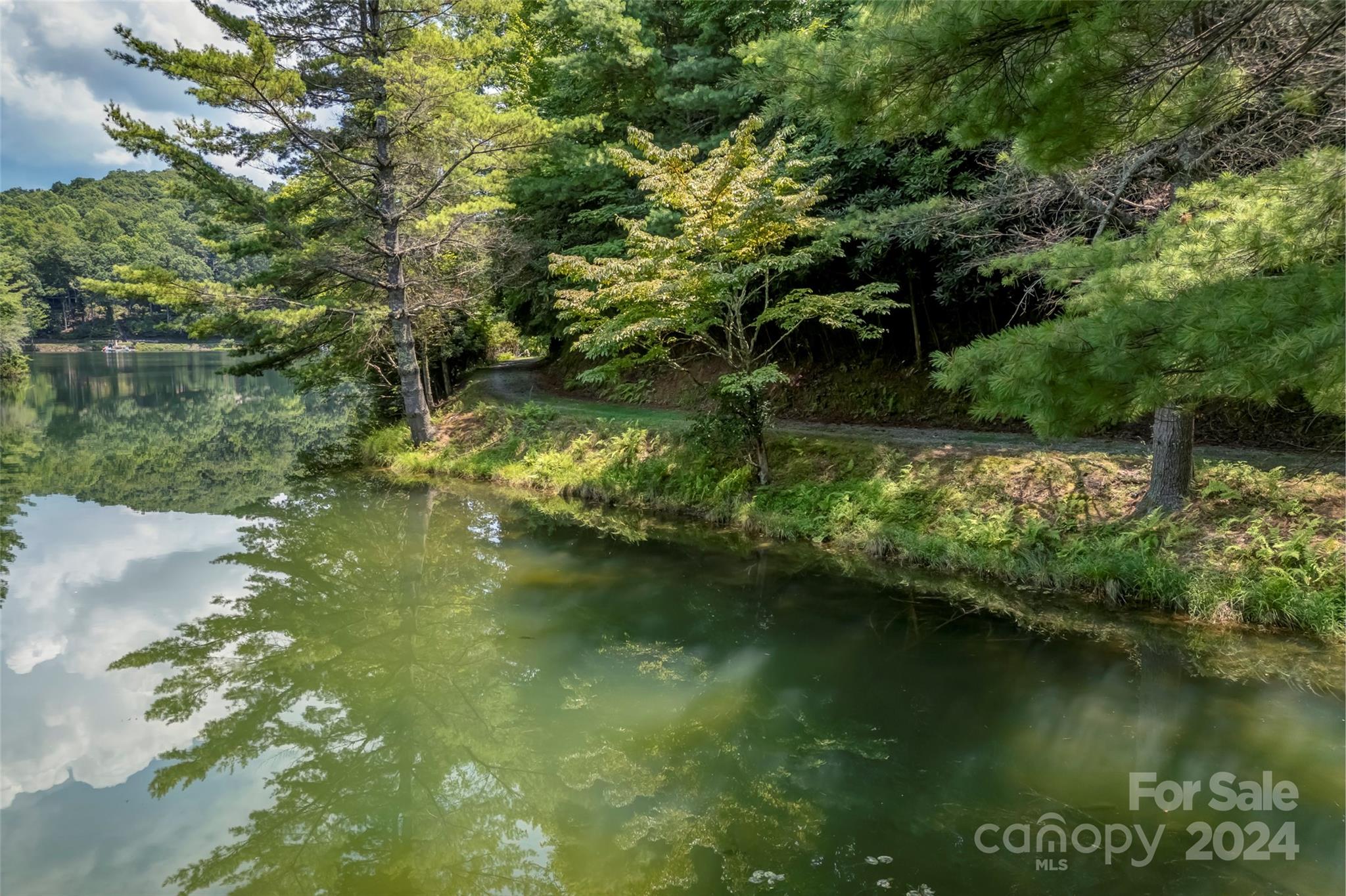 Connestee Falls - Land