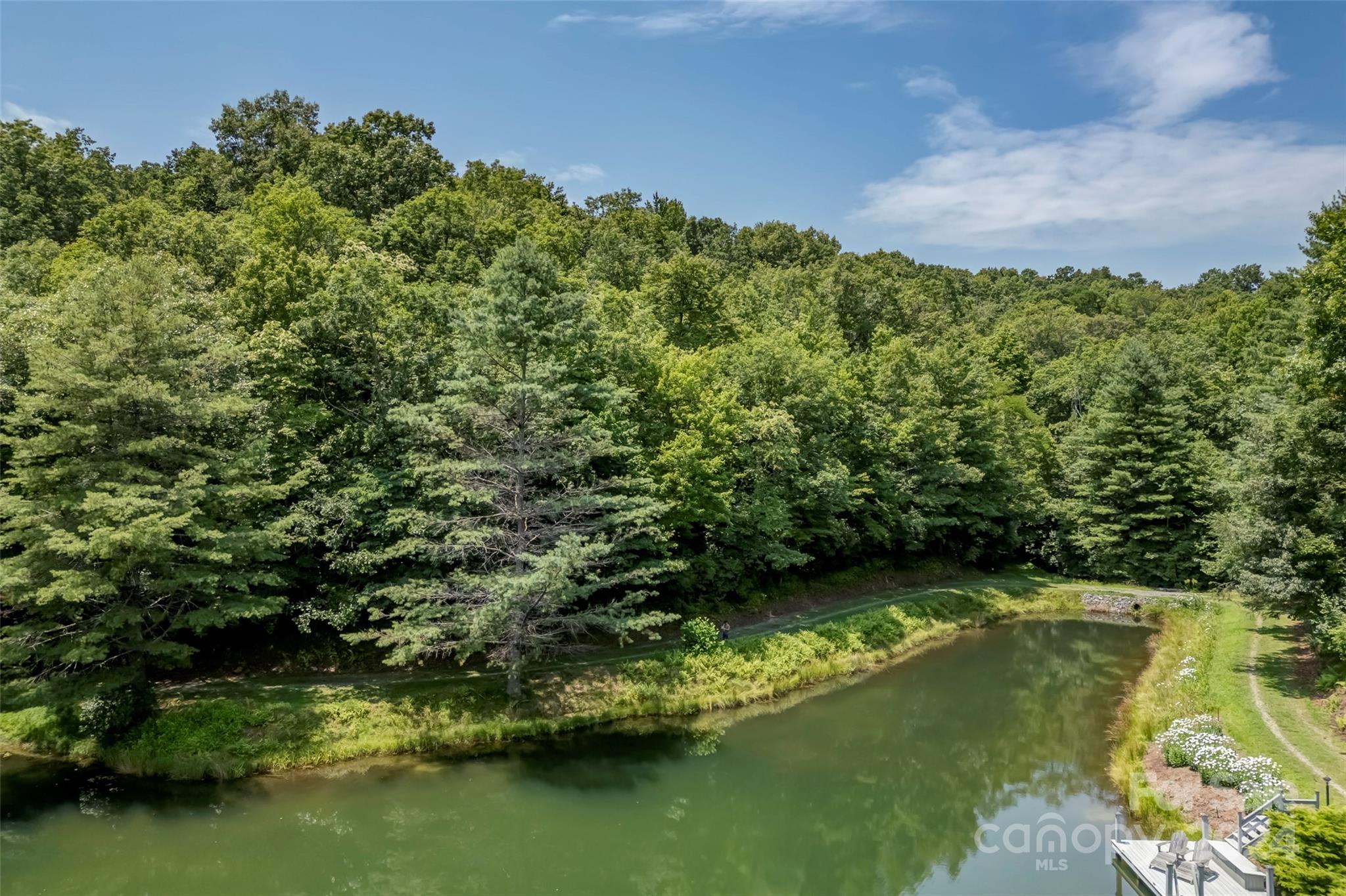 Connestee Falls - Land