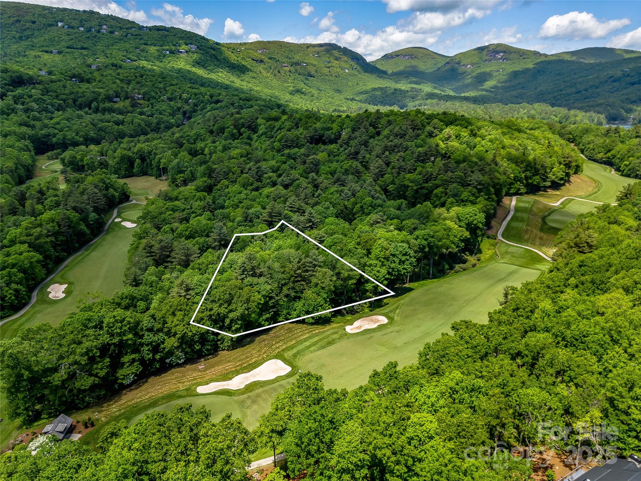 Lake Toxaway Estates - Land
