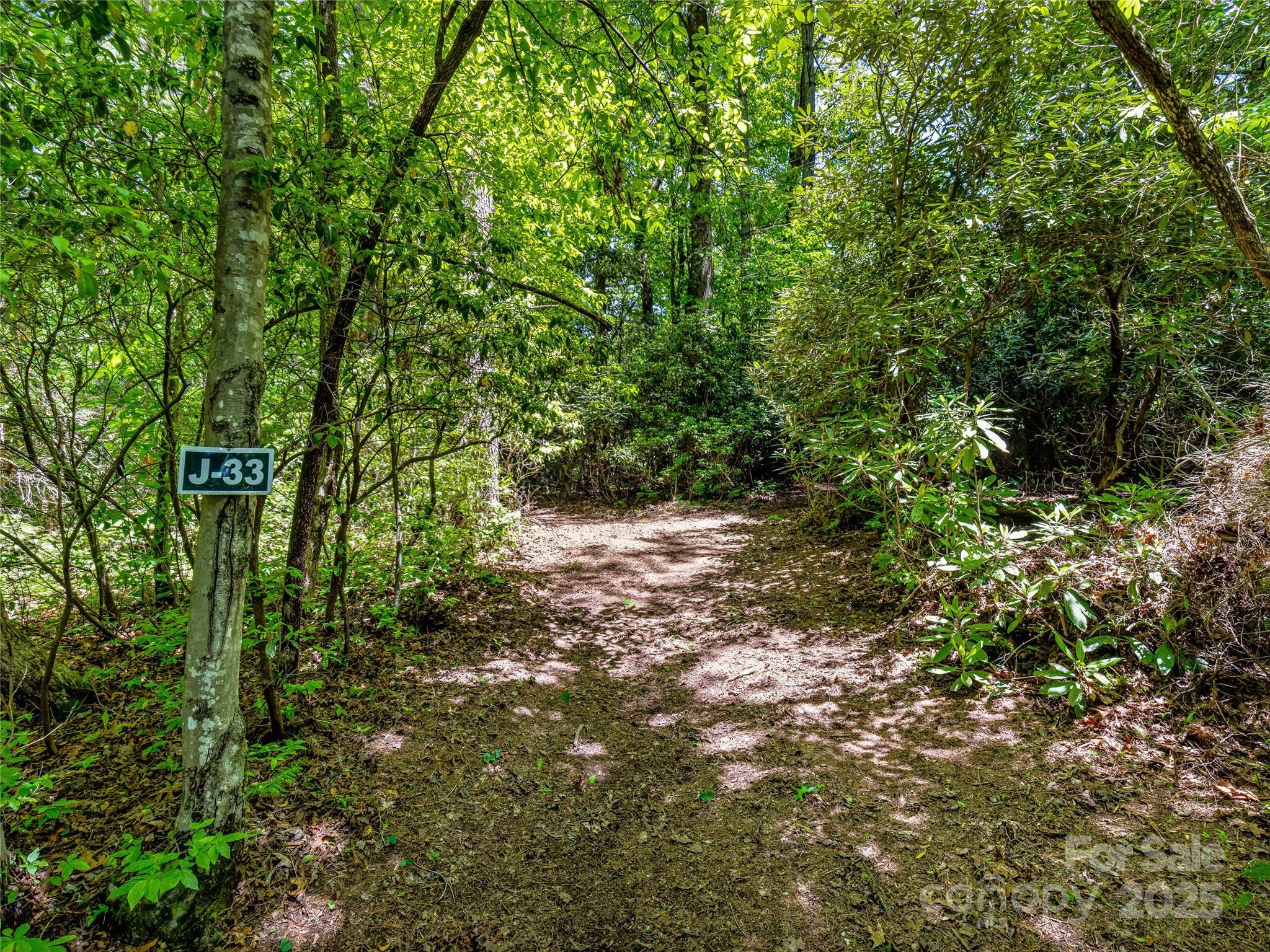Lake Toxaway Estates - Land
