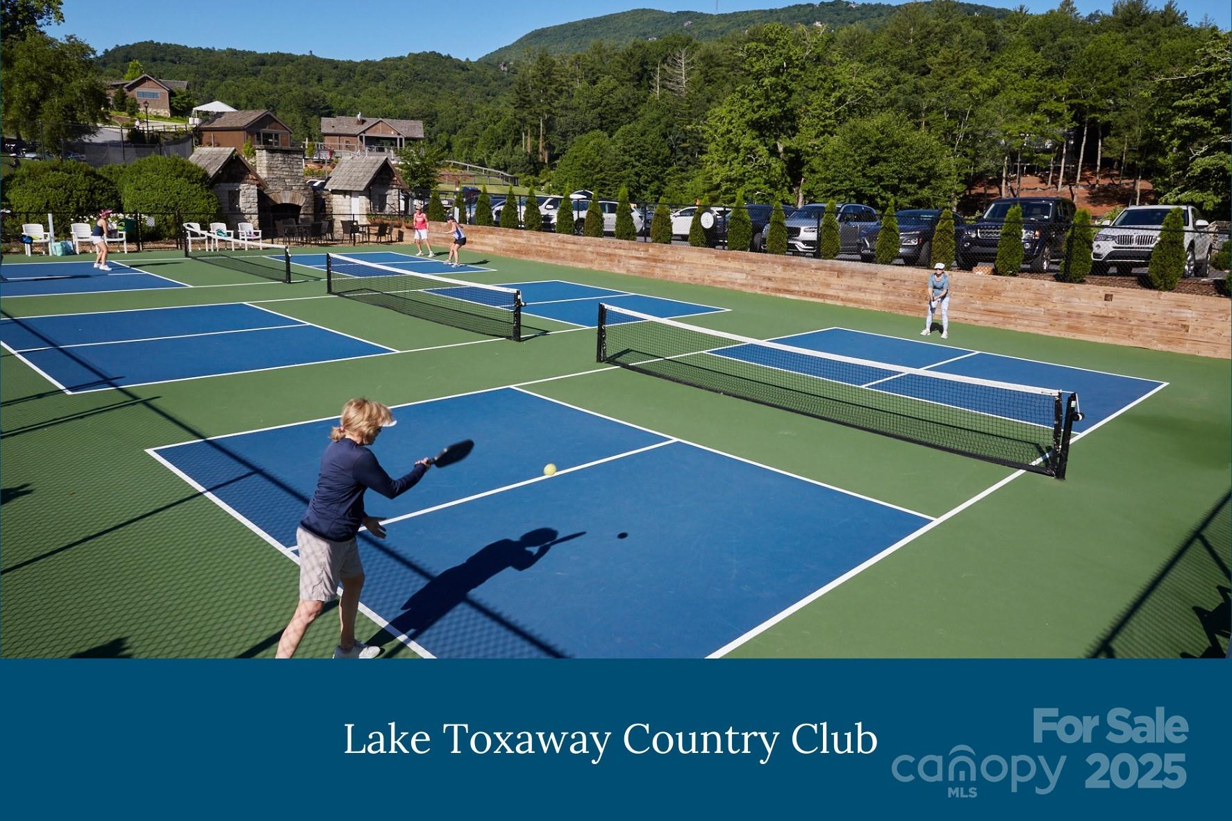 Lake Toxaway Estates - Land