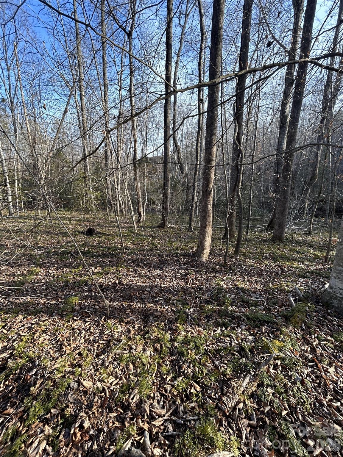 Hidden Lake - Land