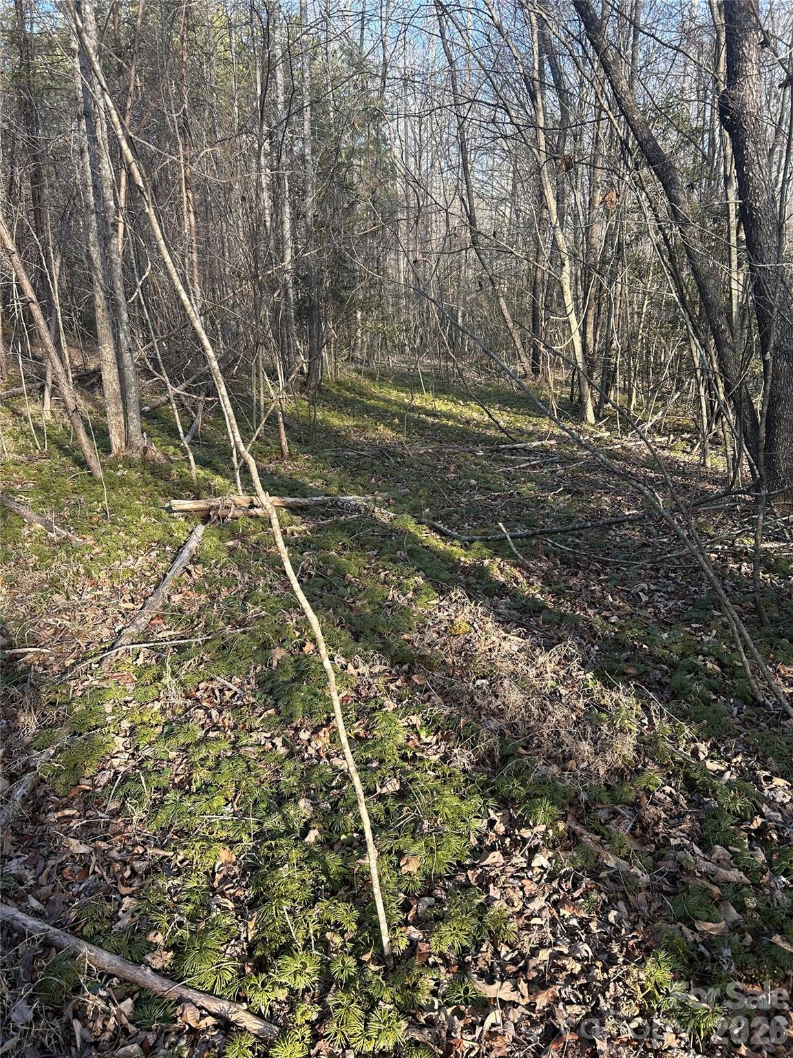 Hidden Lake - Land