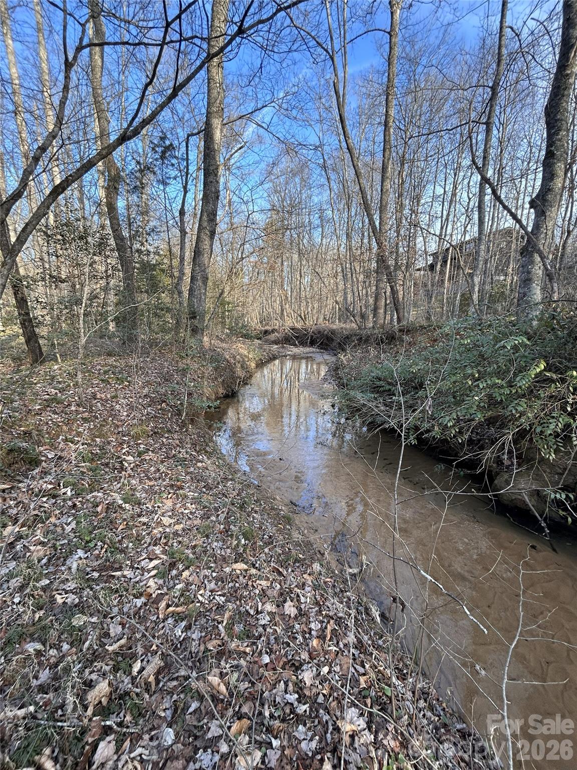 Hidden Lake - Land
