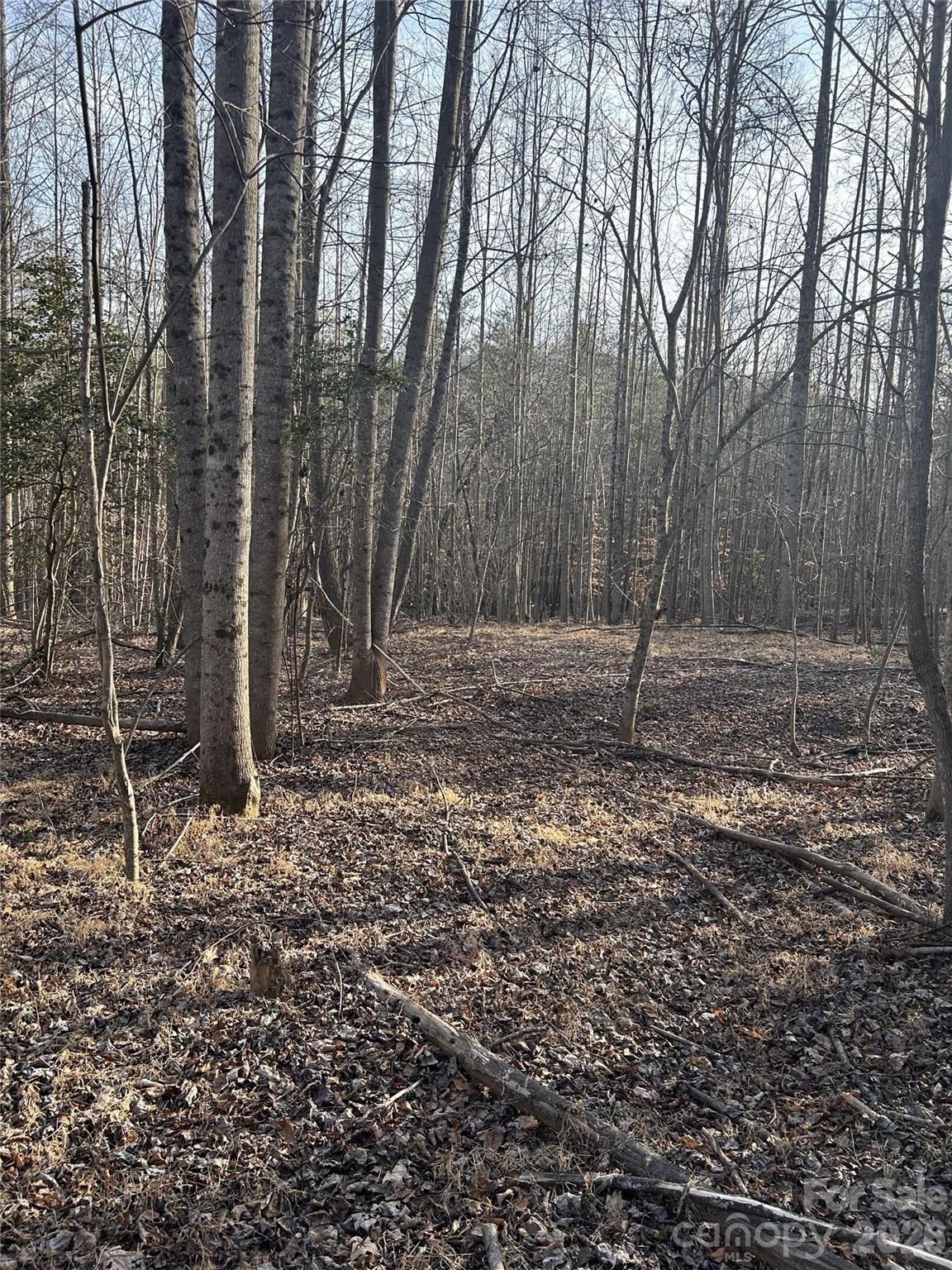 Hidden Lake - Land