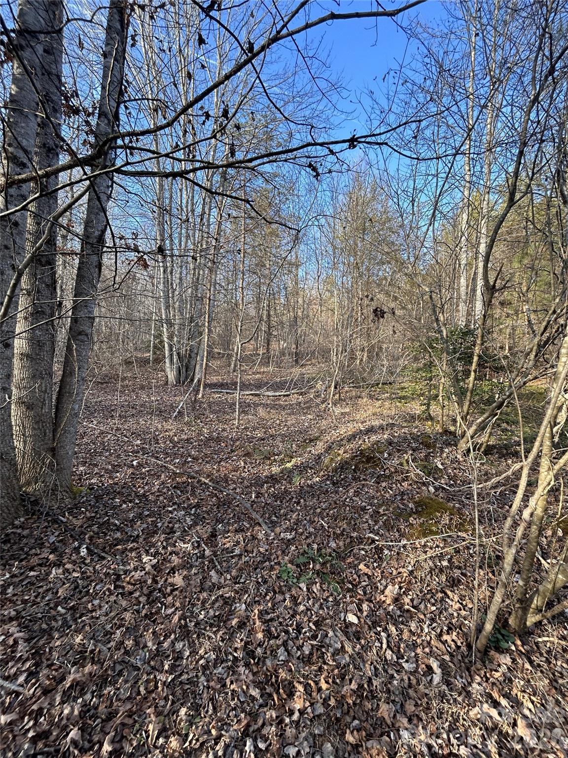 Hidden Lake - Land