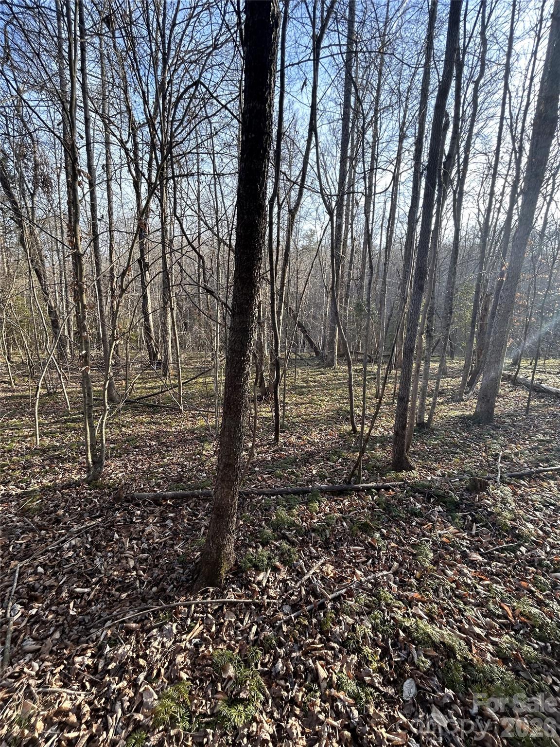 Hidden Lake - Land