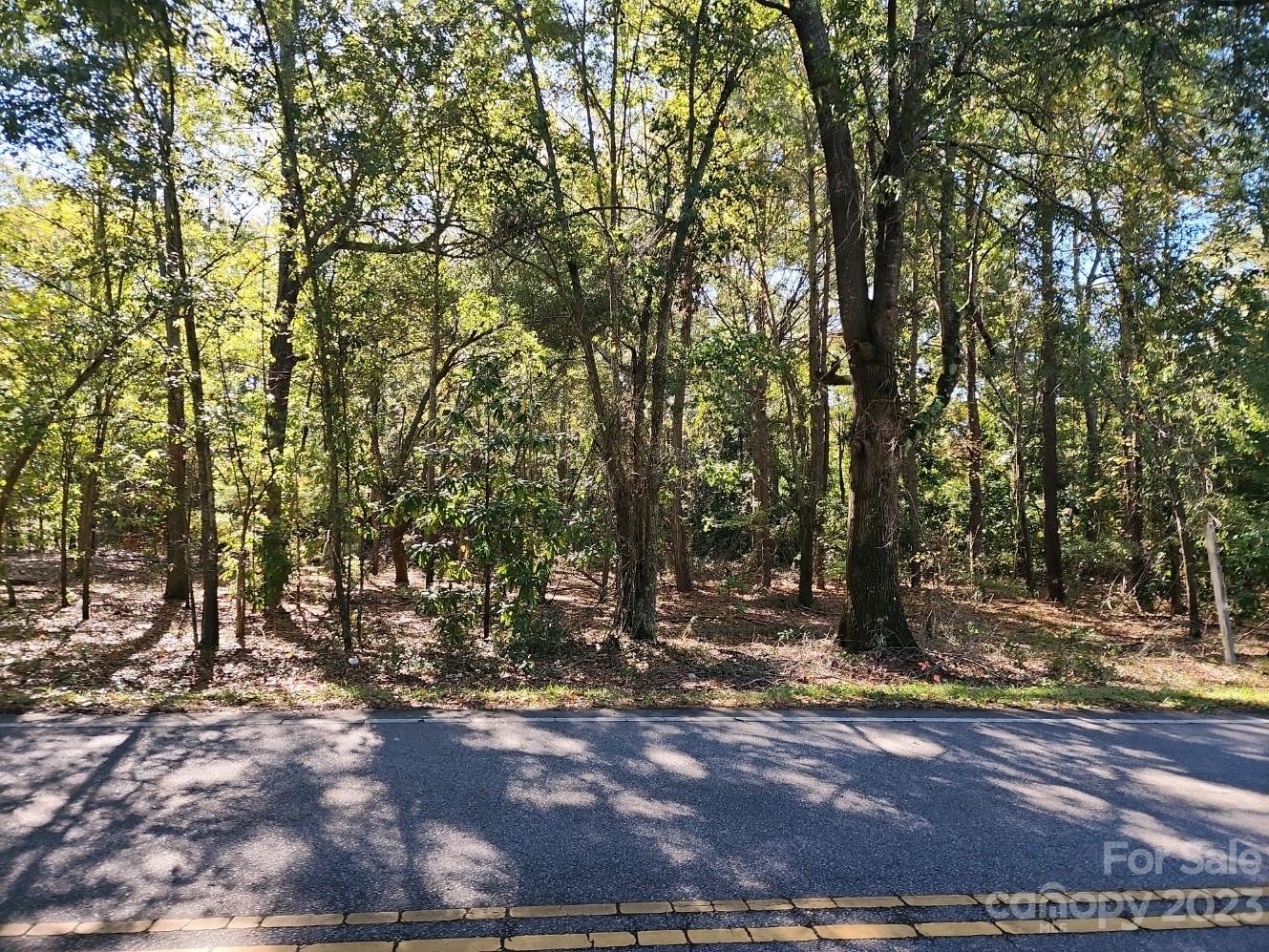 These three parcels consist of a total of approximately 2.02 acres, with frontage on E. Watford Street. This property allows for easy access to many of the Pageland area amenities, by way of the close access to the four lane by pass. Please consult with Town of Pageland for information about current zoning uses, availability of connecting to water, sewer and any building impact fees that may apply.