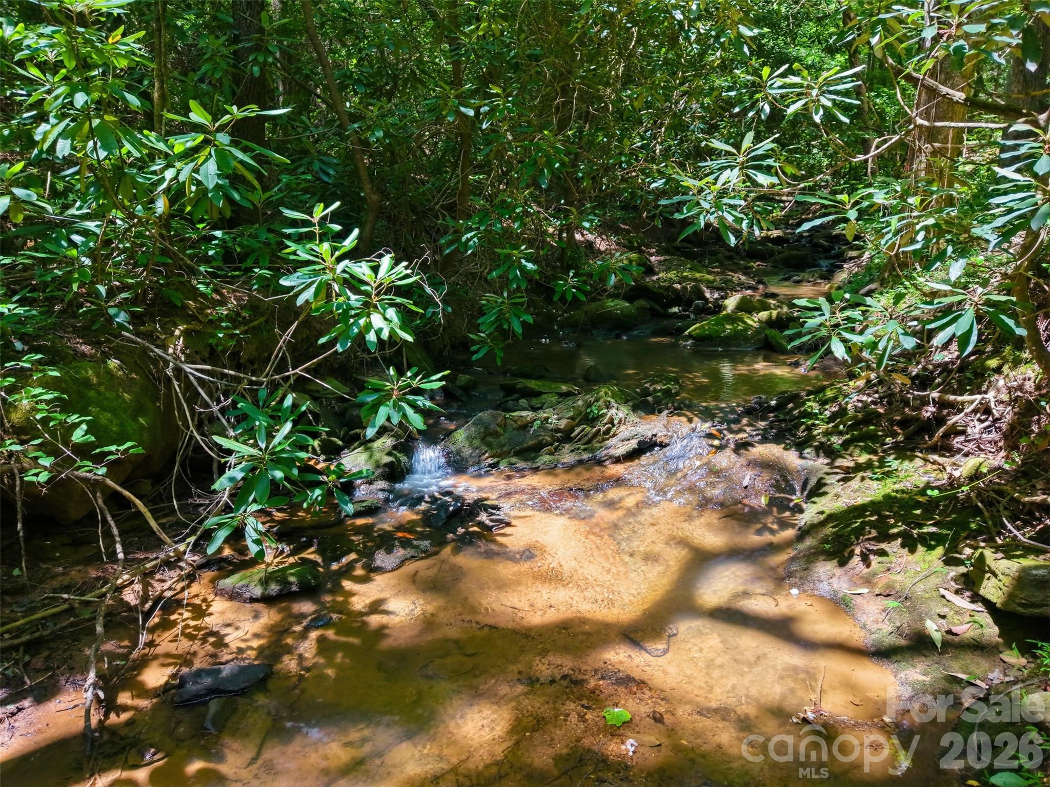 Ridge Creek - Land