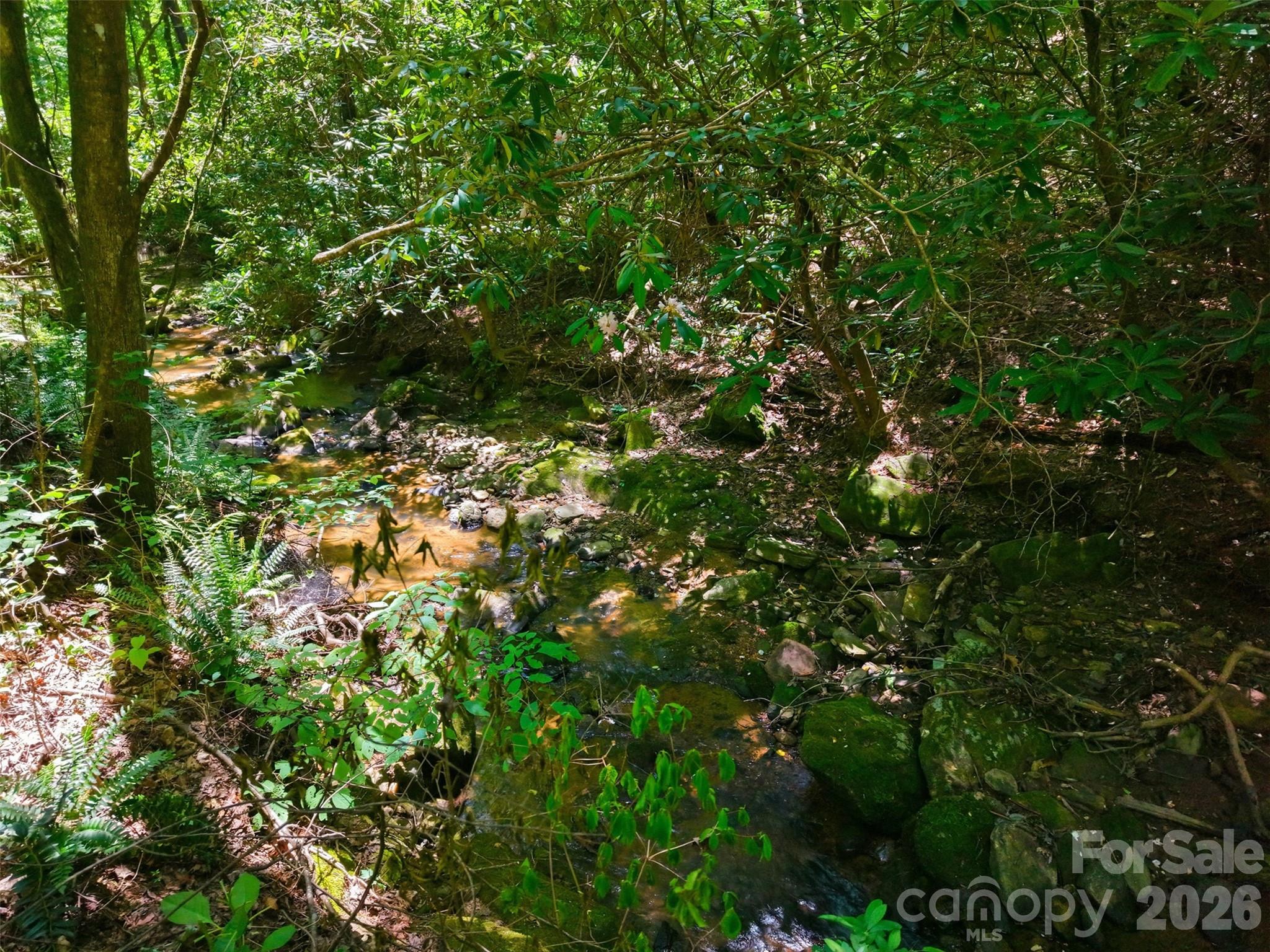 Ridge Creek - Land
