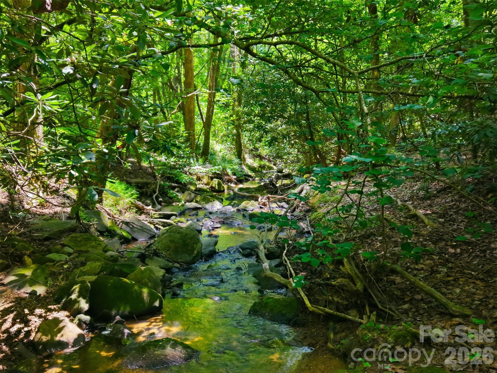 Ridge Creek - Land