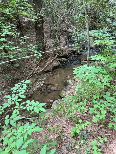 Ridge Creek - Land