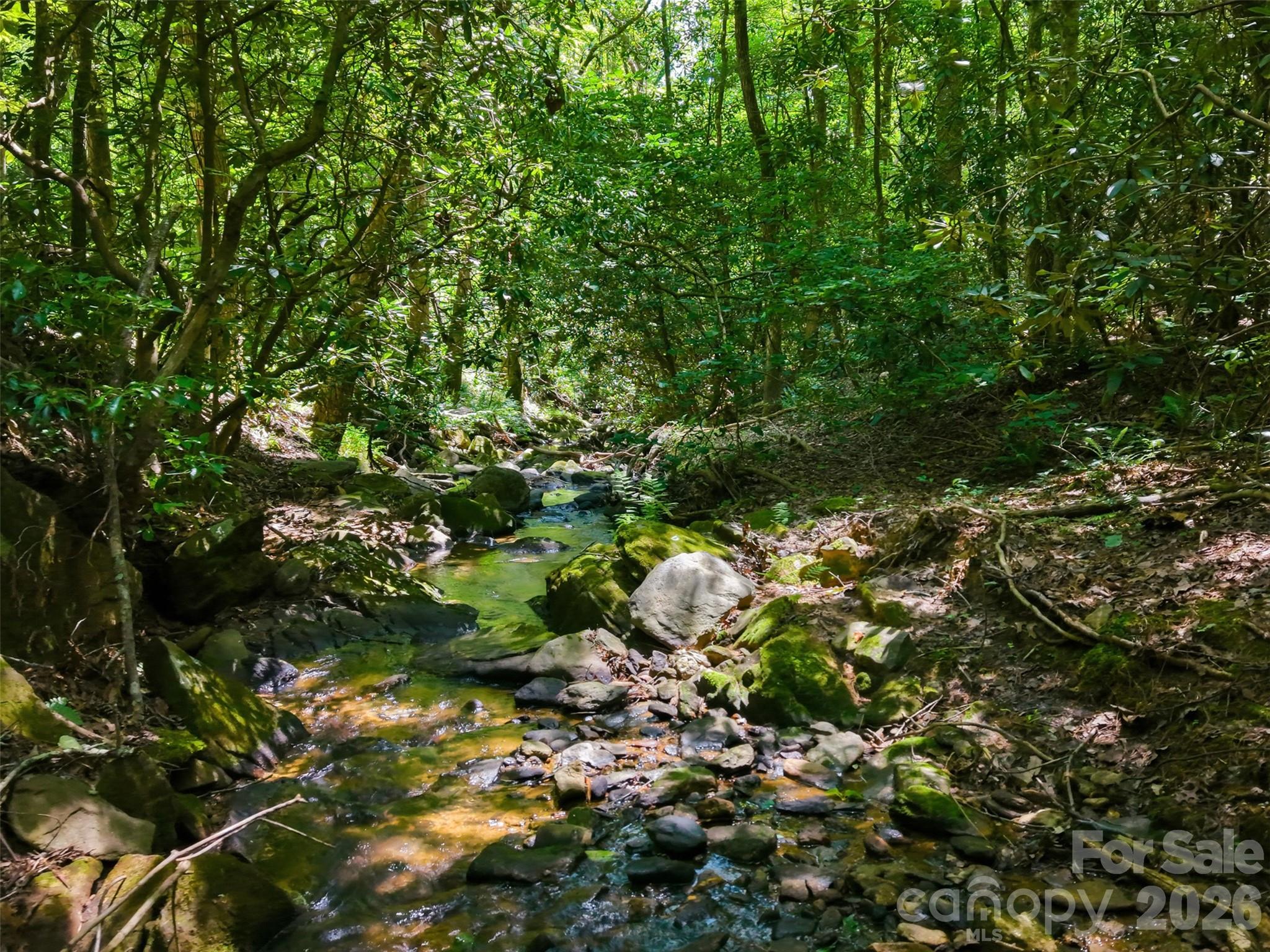 Ridge Creek - Land