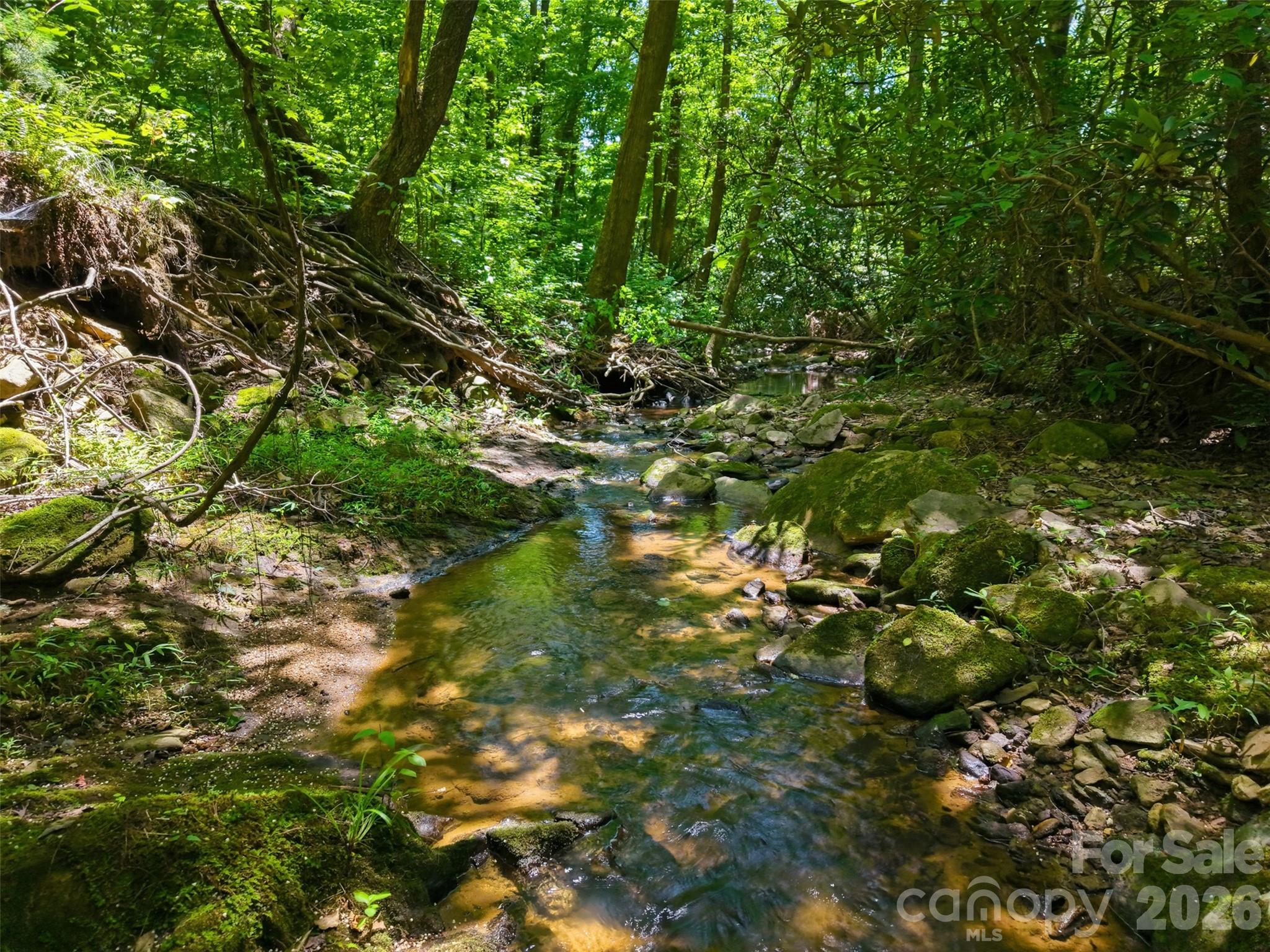 Ridge Creek - Land