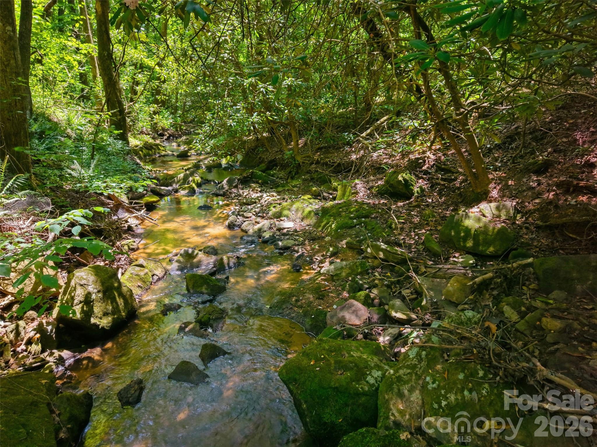Ridge Creek - Land