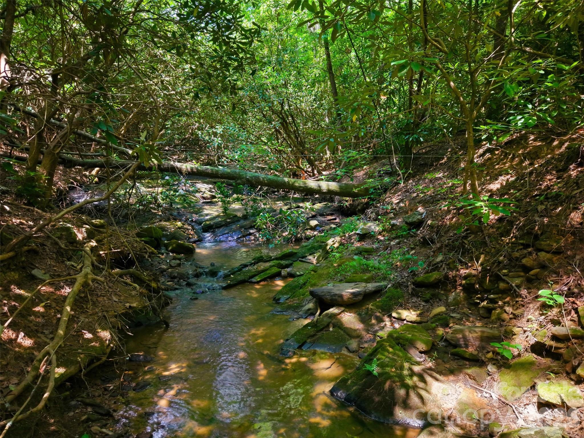Ridge Creek - Land
