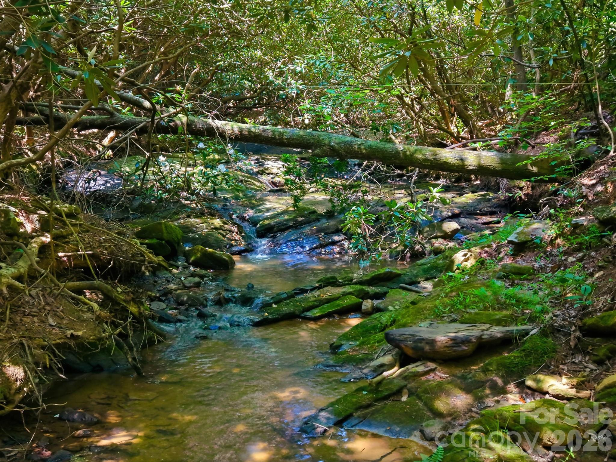 Ridge Creek - Land