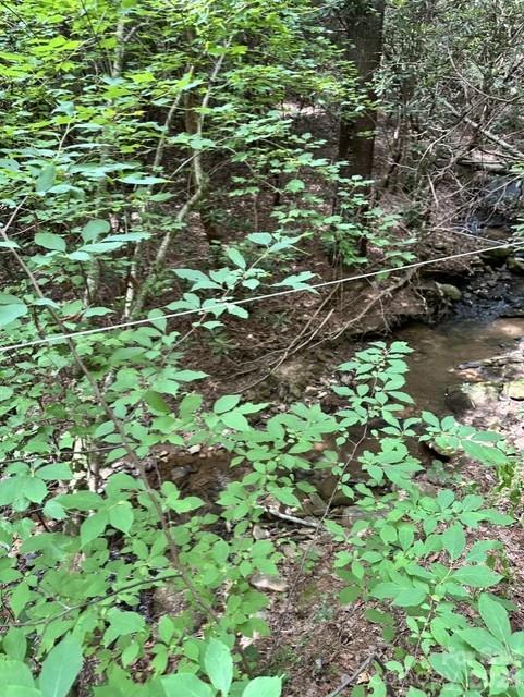 Ridge Creek - Land