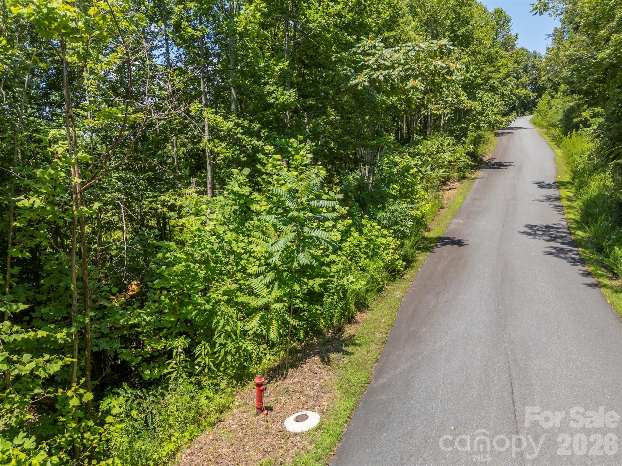 Amazing views and priced to sell! If you are looking for the perfect spot to build a home that allows you to experience breathtaking sunsets and natures beauty daily, this 1.07-acre lot is it! Located in the gated Great Sky subdivision (formerly Queens Gap), you'll have long-range mountain views of Shumont Mountain and Mount Mitchell, and access to underground utilities and public water. This lot is relatively flat in certain places, in comparison to other lots in the subdivision, making this a unique find! Don't miss this one!