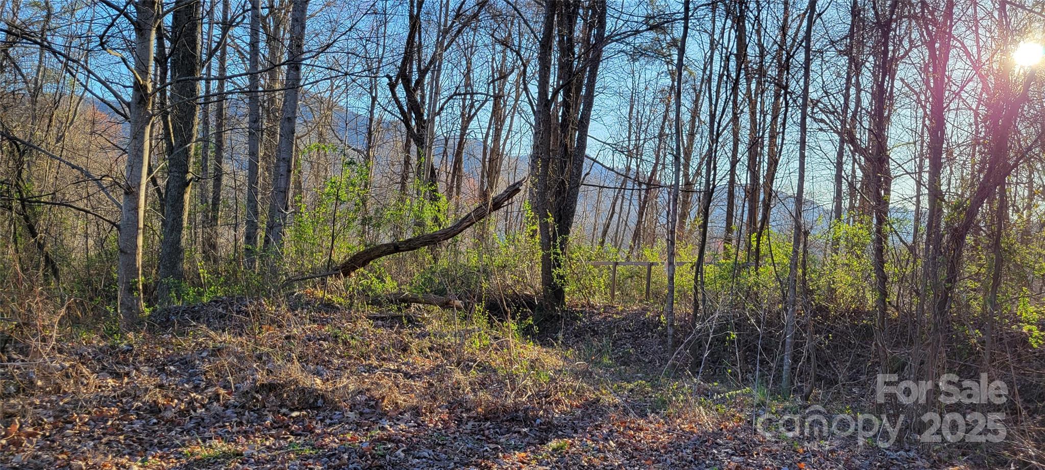 The Preserve At Jonathan Creek - Land