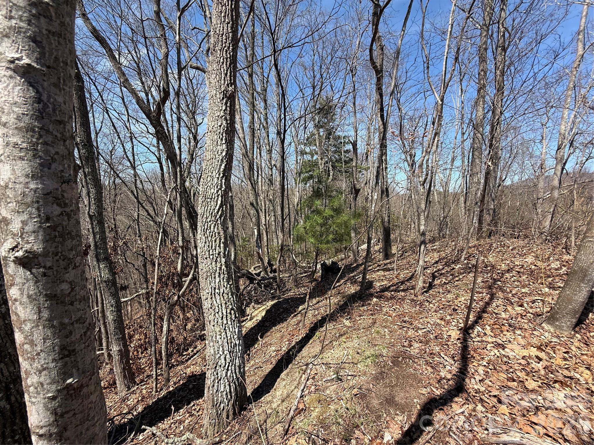 Laurel Highlands - Land