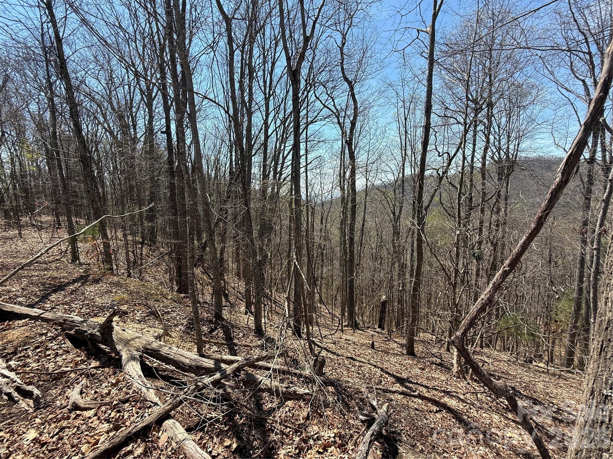Laurel Highlands - Land