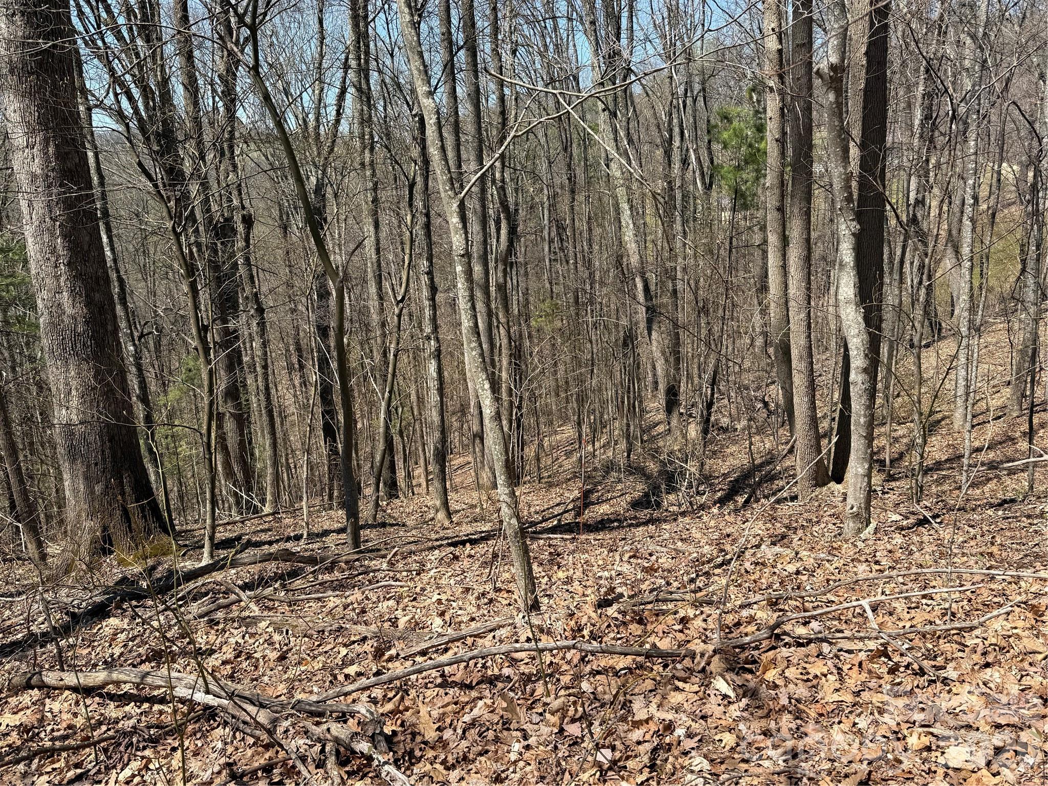 Laurel Highlands - Land