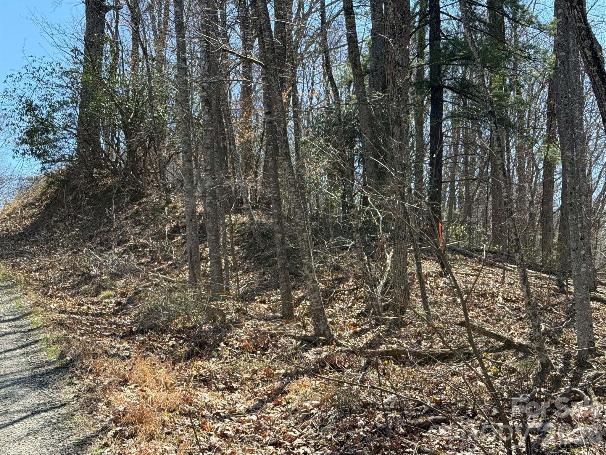 Laurel Highlands - Land