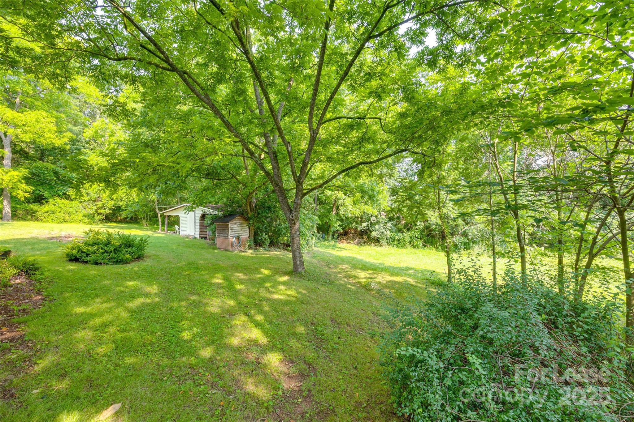 None - Residential Lease