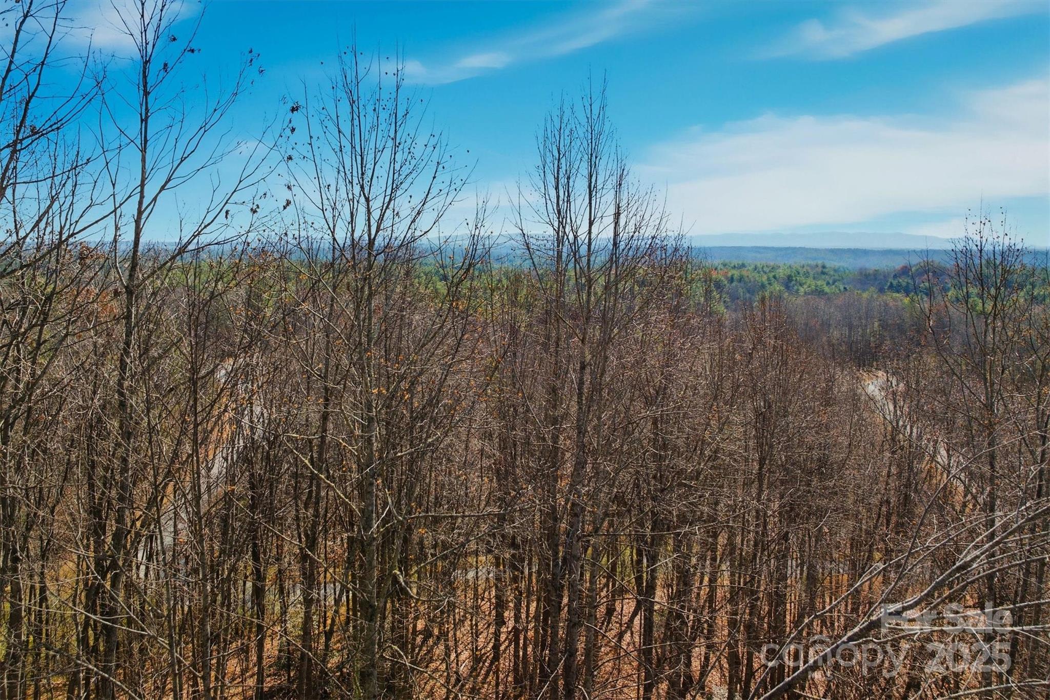 The Coves Mountain River Club - Land