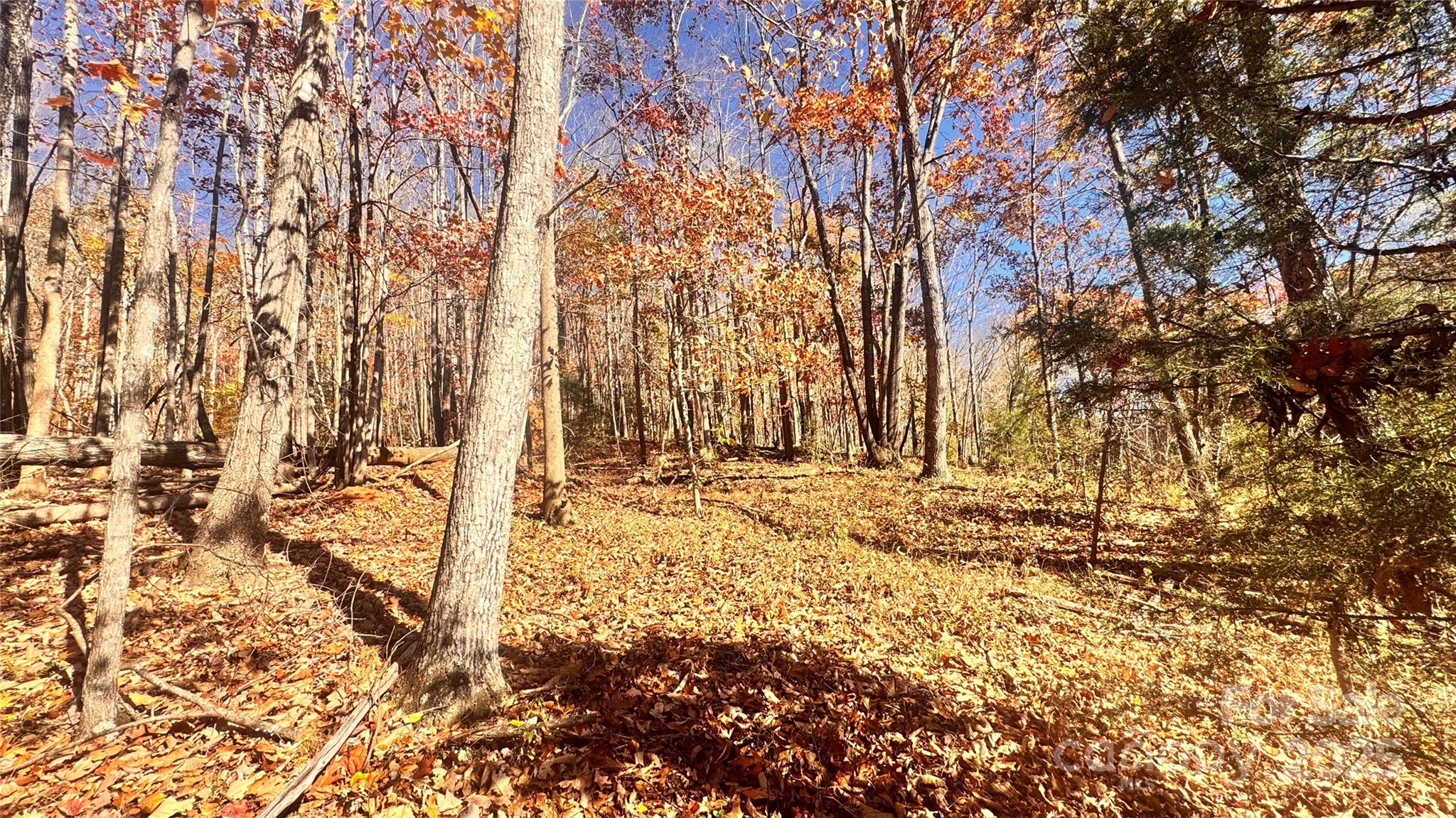 The Coves Mountain River Club - Land